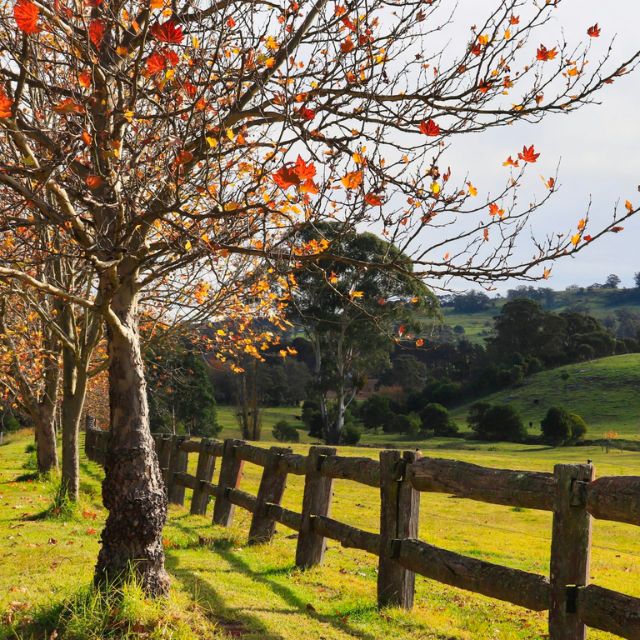 48 Hours In.. The Southern Highlands Re-Do