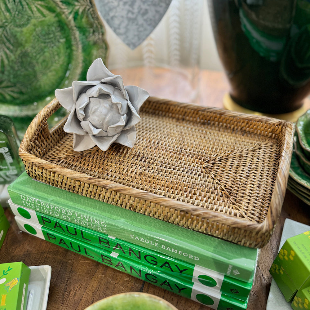 Baby Tray with Handles