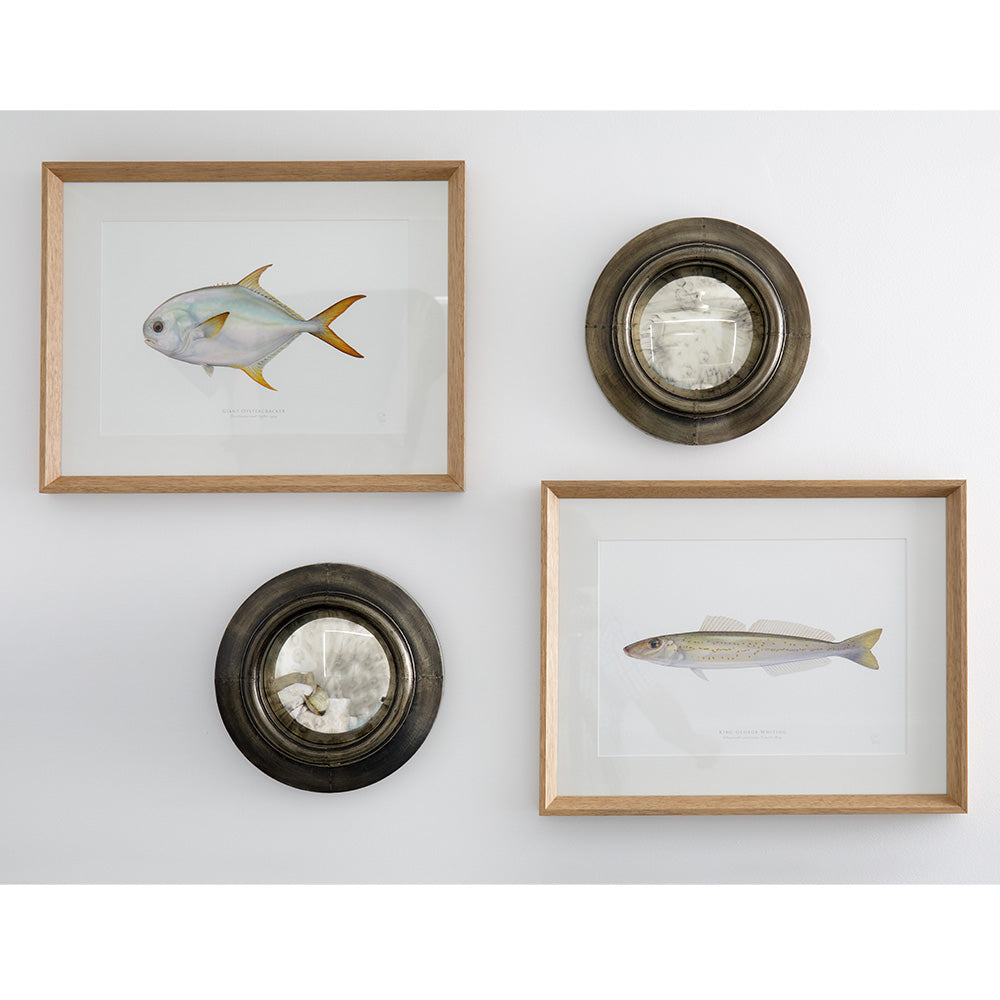 Photo of Antique convex mirrors and fish artwork